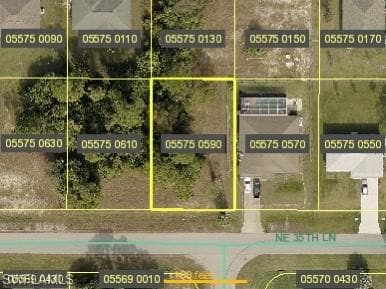1013 NE 35th LN CAPE CORAL, FL 33909