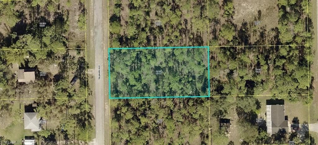 2316 Truman AVE ALVA, FL 33920