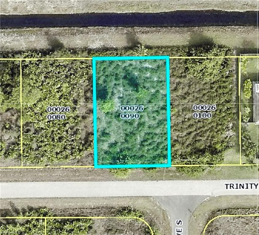 521 Trinity ST E LEHIGH ACRES, FL 33974