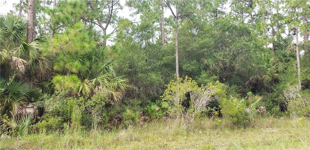 3607 56th ST W LEHIGH ACRES, FL 33971