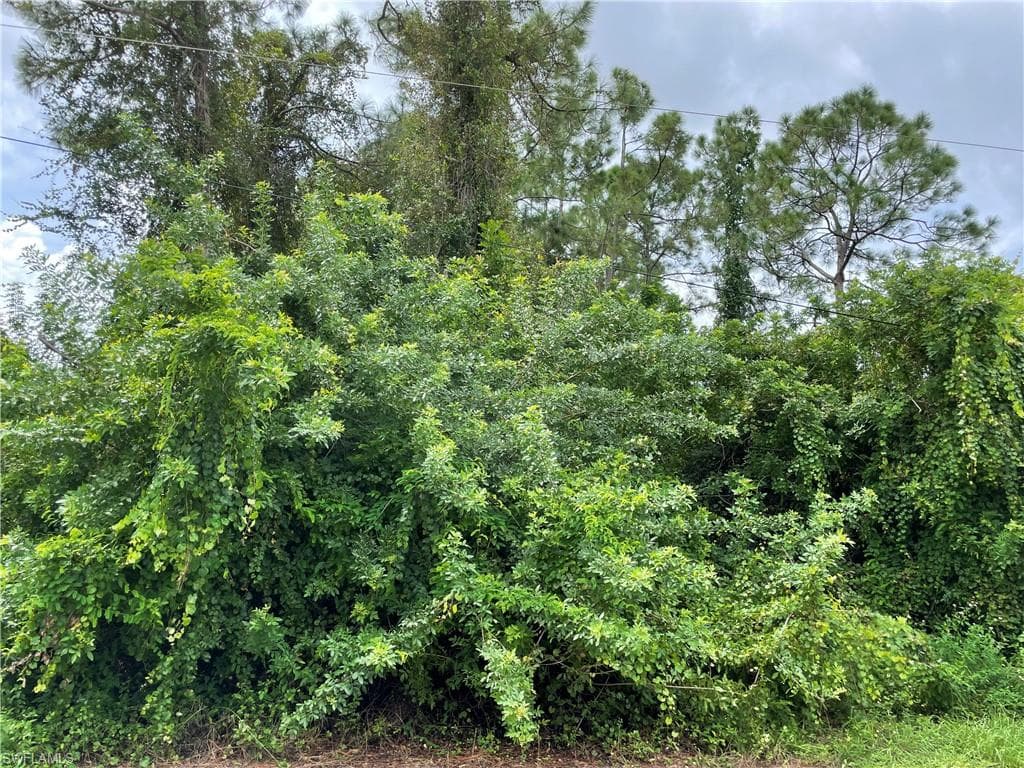 5317 2nd ST W LEHIGH ACRES, FL 33971
