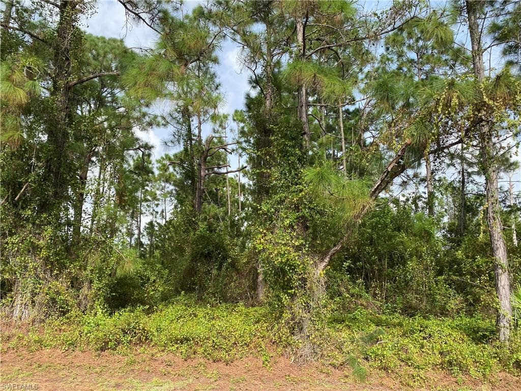 928 Fern ST E LEHIGH ACRES, FL 33974