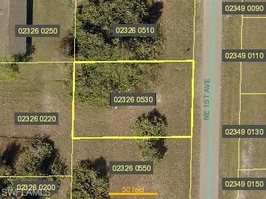 3020 NE 1st AVE CAPE CORAL, FL 33909