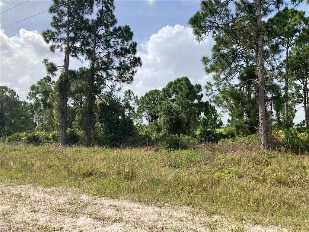 2530 Meadow RD LEHIGH ACRES, FL 33974