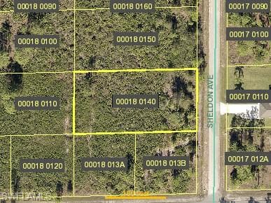 1303 Sheldon AVE LEHIGH ACRES, FL 33972