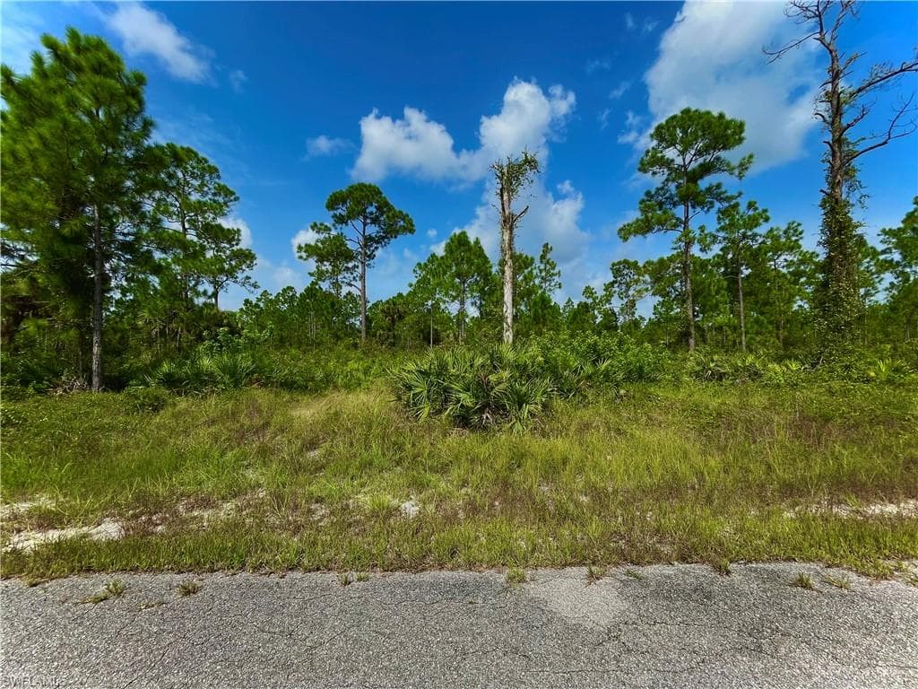 209 Wells AVE LEHIGH ACRES, FL 33936
