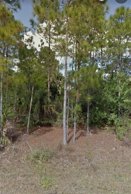 3206 49th ST W LEHIGH ACRES, FL 33971