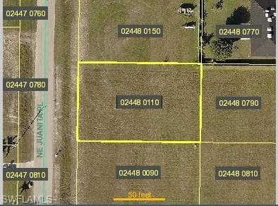 1309 NE Juanita PL CAPE CORAL, FL 33909