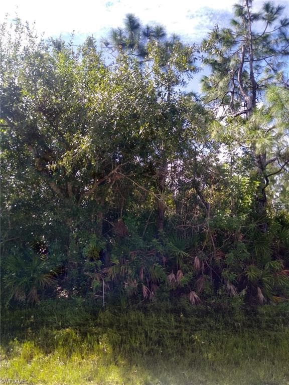 12089 Dubarry AVE PORT CHARLOTTE, FL 33981