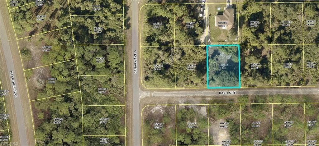 1019 Bach ST E LEHIGH ACRES, FL 33974