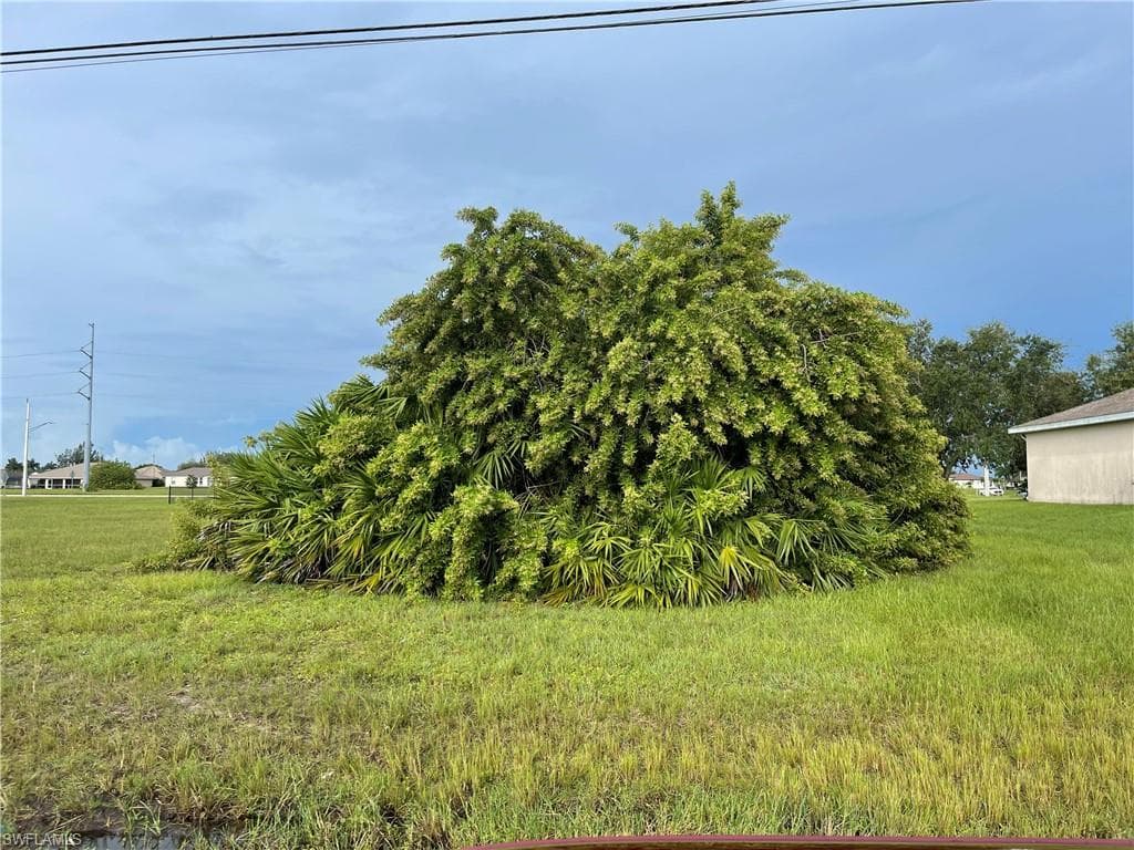 2316 NE Juanita PL CAPE CORAL, FL 33909