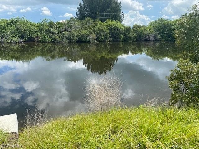 1213 NW 39th AVE CAPE CORAL, FL 33993