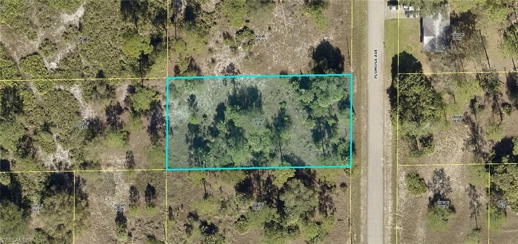 1503 Plumosa AVE LEHIGH ACRES, FL 33972