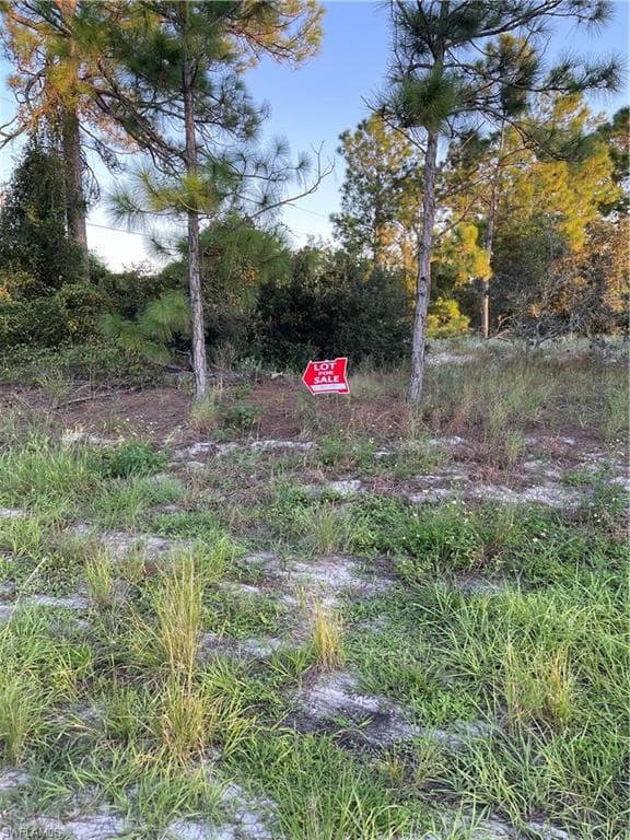 3801 35th ST SW LEHIGH ACRES, FL 33976