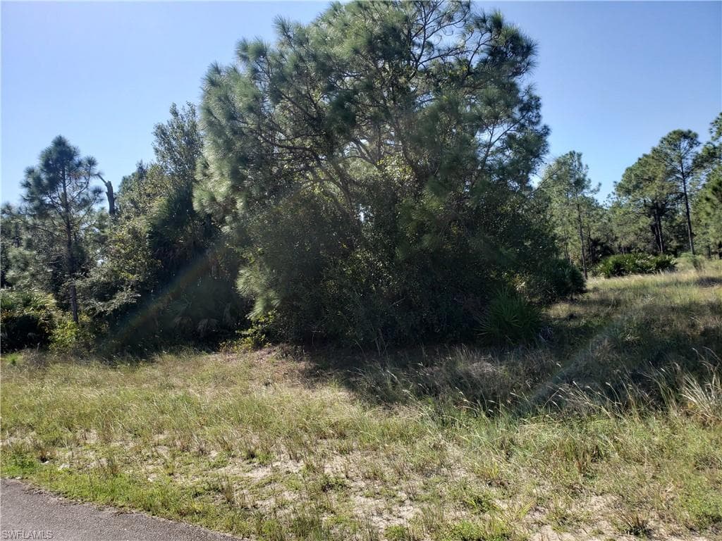 1317 Hamilton AVE LEHIGH ACRES, FL 33972
