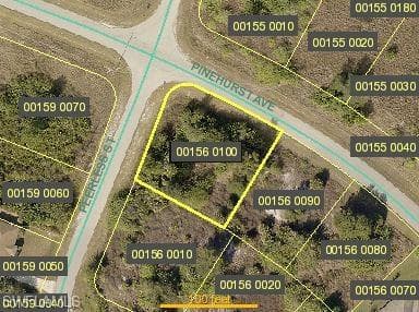 324 Pinehurst AVE LEHIGH ACRES, FL 33974
