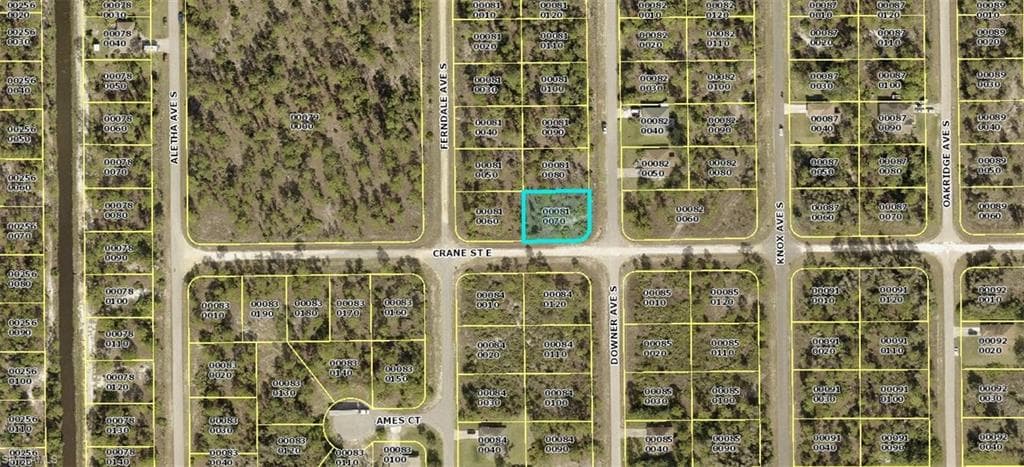 838 Downer AVE S LEHIGH ACRES, FL 33974