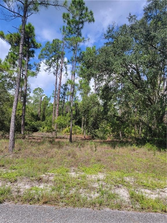 1115 Scott AVE LEHIGH ACRES, FL 33972