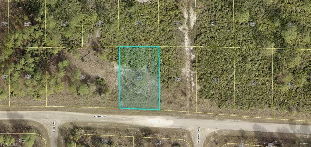 931 Alcutt ST LEHIGH ACRES, FL 33974