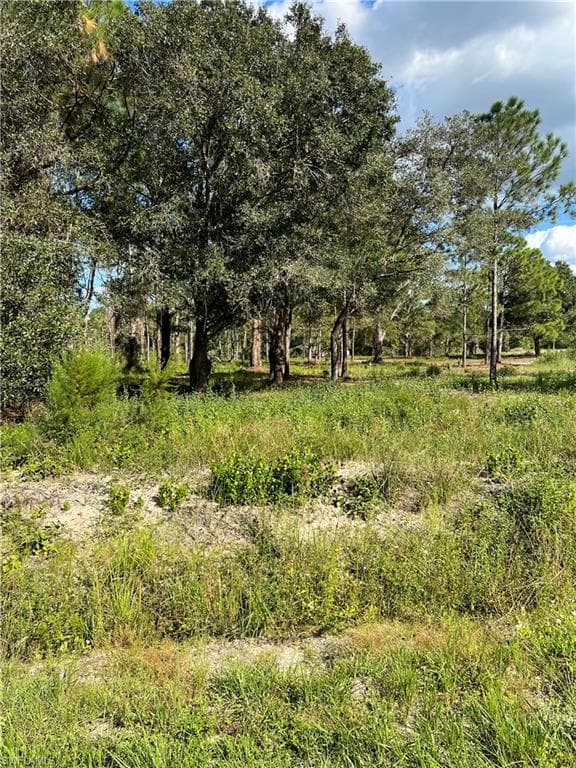 165 S Brida ST CLEWISTON, FL 33440