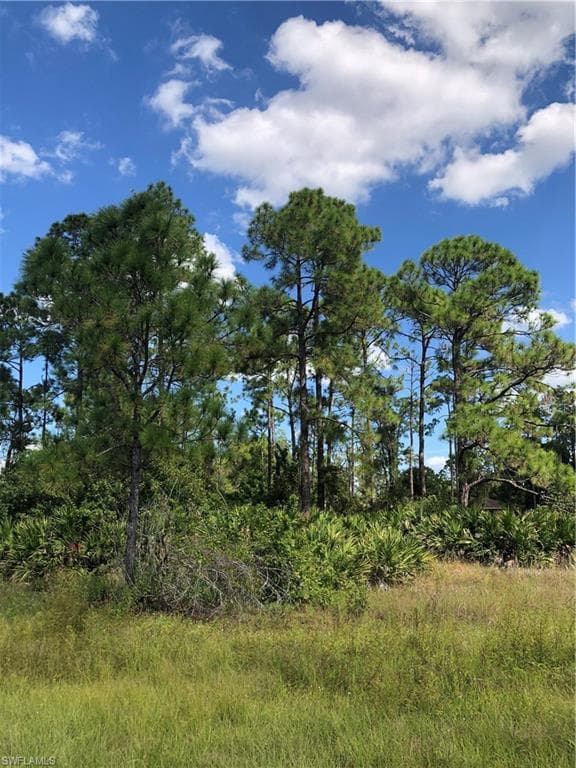 5552 Burr ST LEHIGH ACRES, FL 33971
