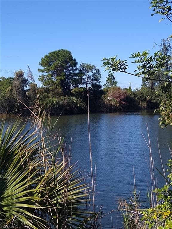 1313 NE 32nd LN CAPE CORAL, FL 33909