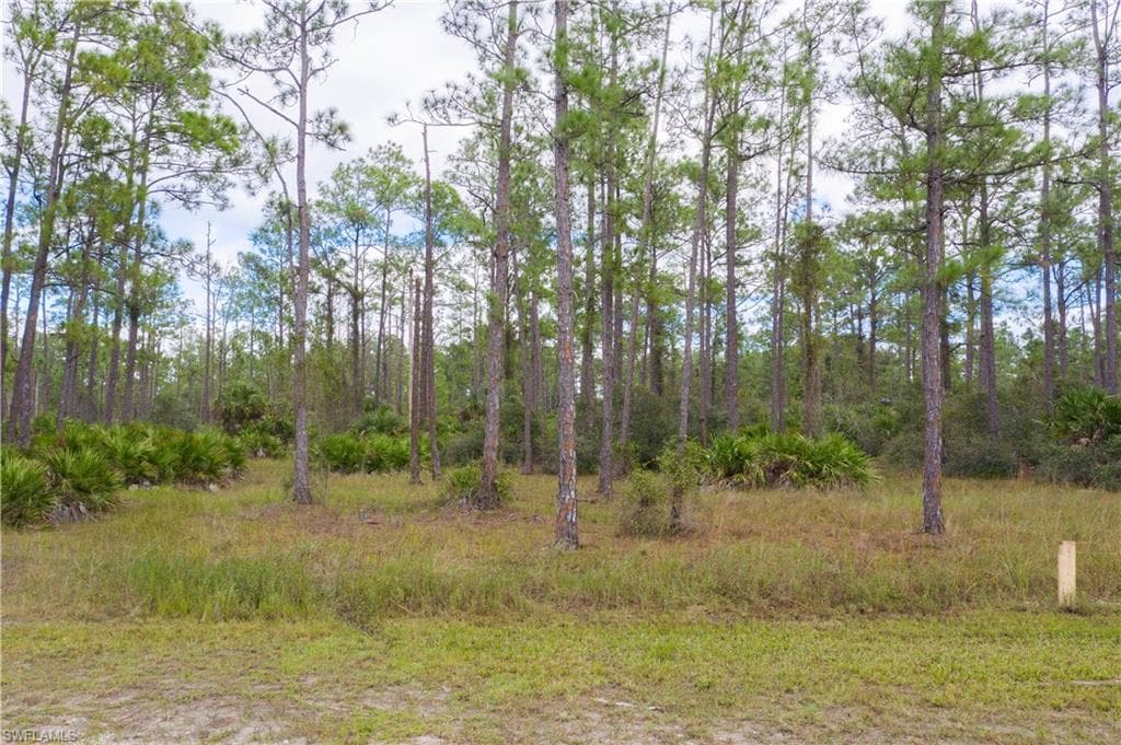 2210 Truman AVE ALVA, FL 33920