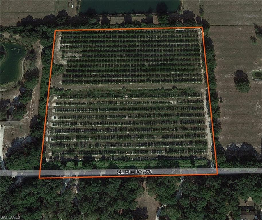 SE Shelfer AVE ARCADIA, FL 34266