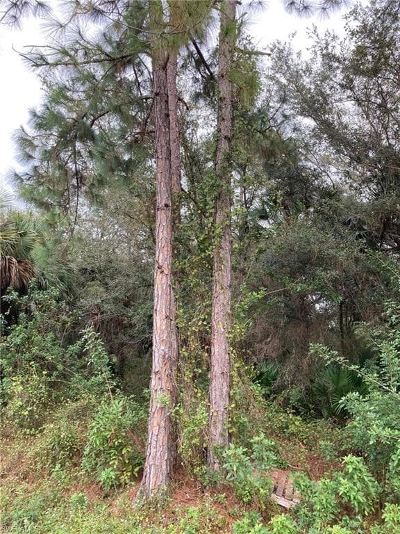 1504 Calvin AVE LEHIGH ACRES, FL 33972