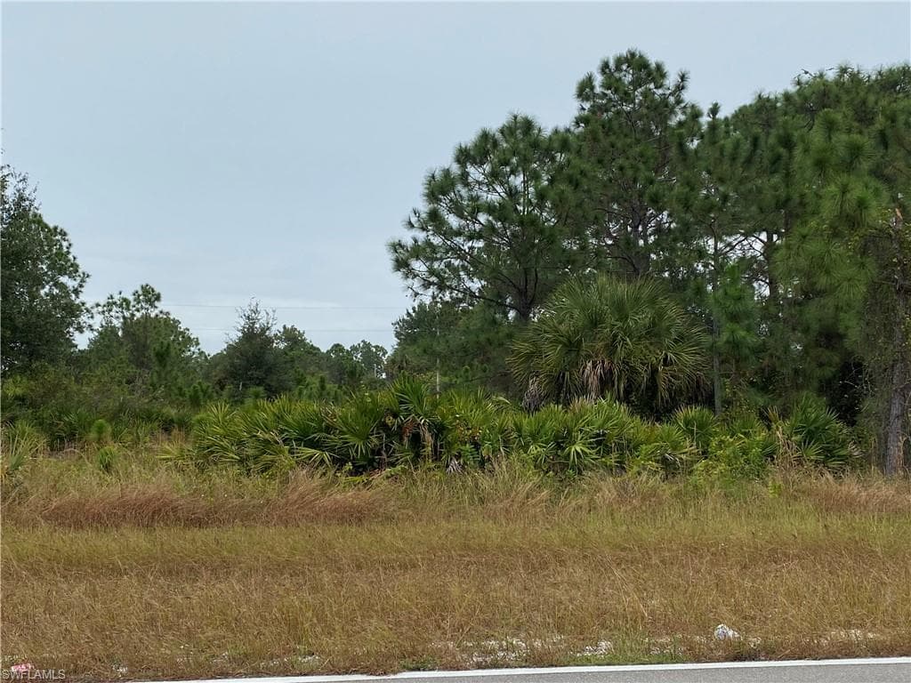 1163 Milwaukee BLVD LEHIGH ACRES, FL 33974