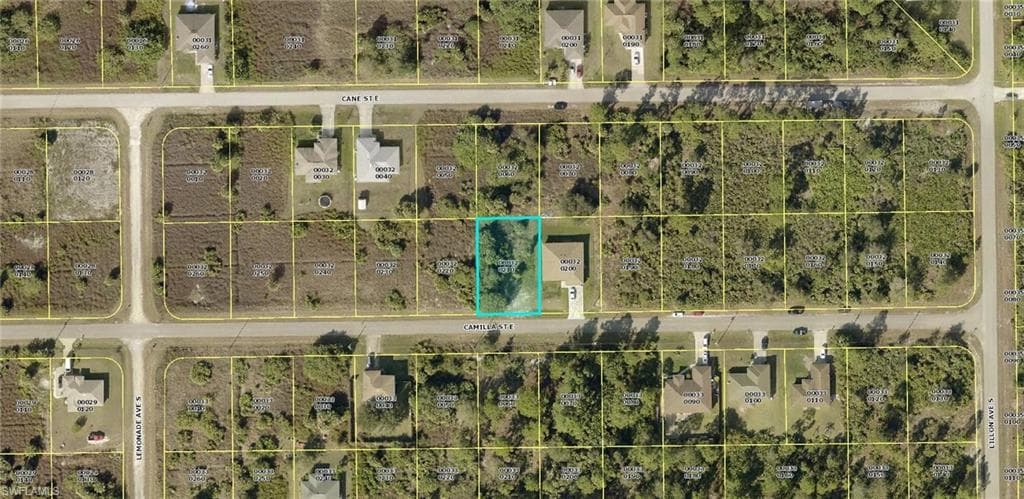749 Camilla ST E LEHIGH ACRES, FL 33974