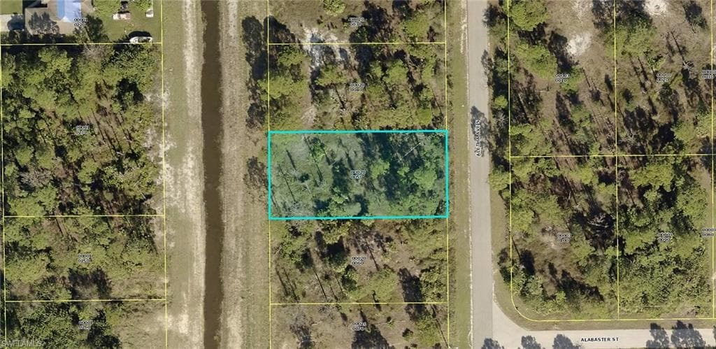 910 Aletha AVE S LEHIGH ACRES, FL 33974
