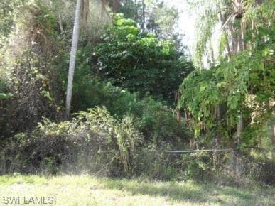 7704 Bogart DR NORTH FORT MYERS, FL 33917