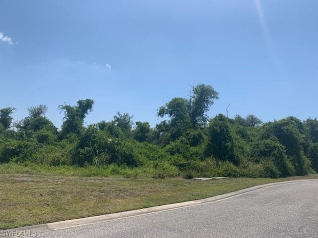 23078 Crookedwood LOOP ALVA, FL 33920