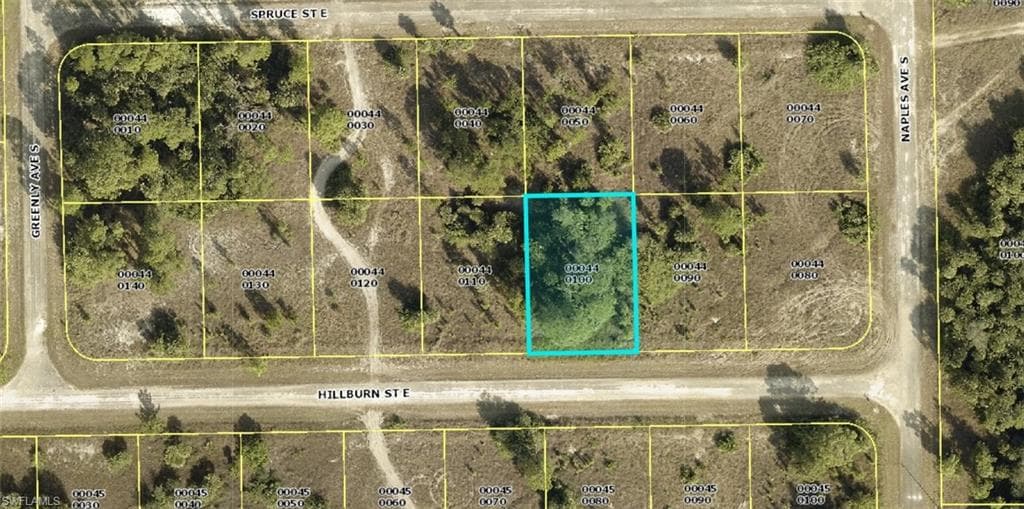 1245 Hillburn ST E LEHIGH ACRES, FL 33974