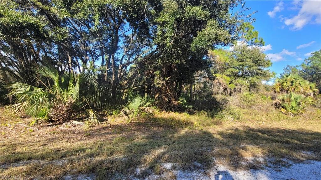 4207 E 31st ST ALVA, FL 33920