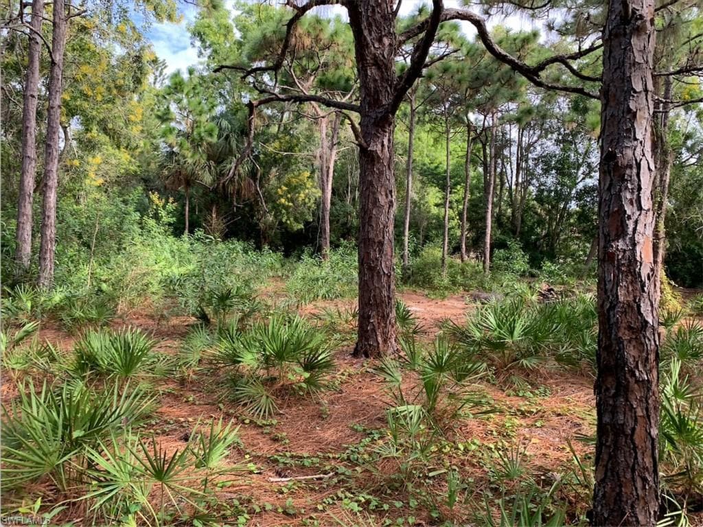 6224 & 6218 Grove AVE BOKEELIA, FL 33922
