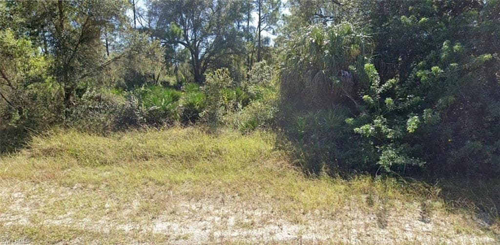 2412 Mabry ST ALVA, FL 33920