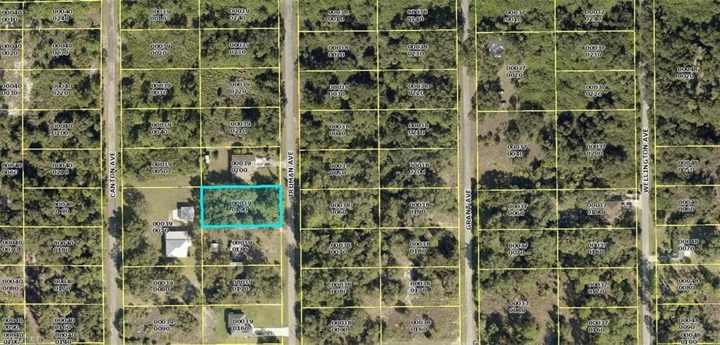 1913 Truman AVE LEHIGH ACRES, FL 33972