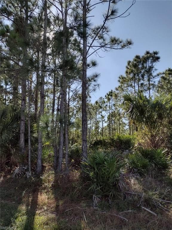 12273 El Prado DR PUNTA GORDA, FL 33955