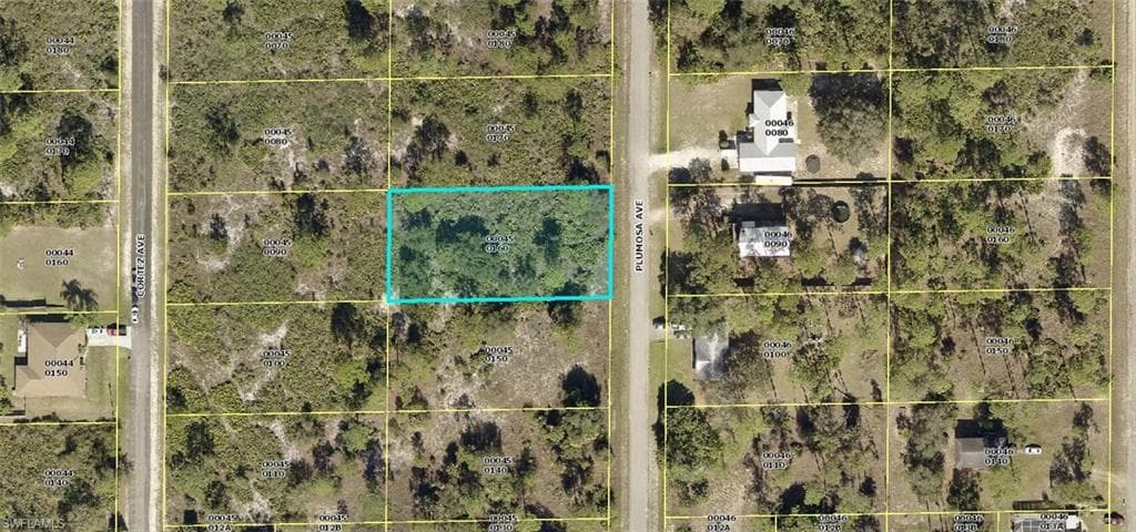 1507 Plumosa AVE LEHIGH ACRES, FL 33972