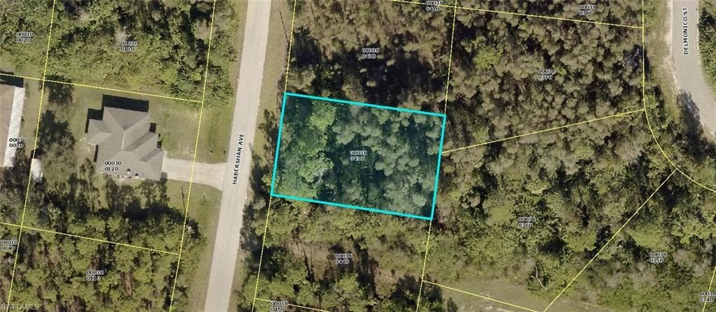 1015 Habershan AVE LEHIGH ACRES, FL 33974