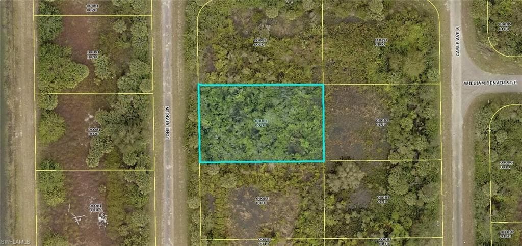 521 Lone Star LN LEHIGH ACRES, FL 33974