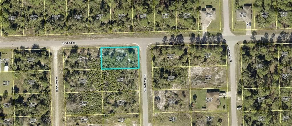 6017 Susan AVE N LEHIGH ACRES, FL 33971