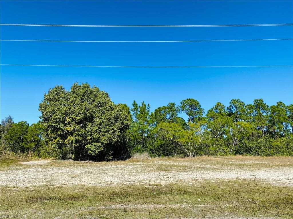 917 Wilmington PKY CAPE CORAL, FL 33993