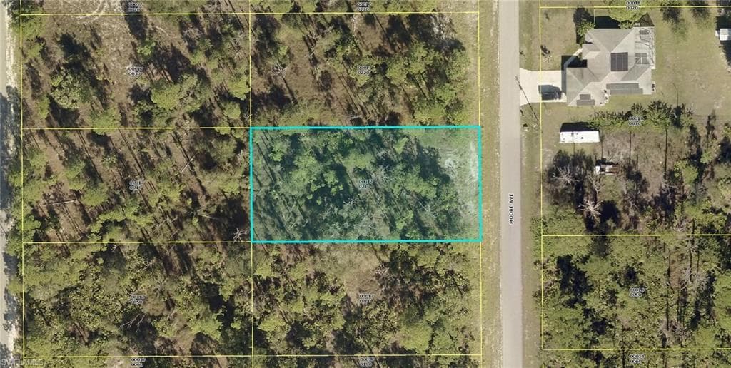 1317 Moore AVE LEHIGH ACRES, FL 33972