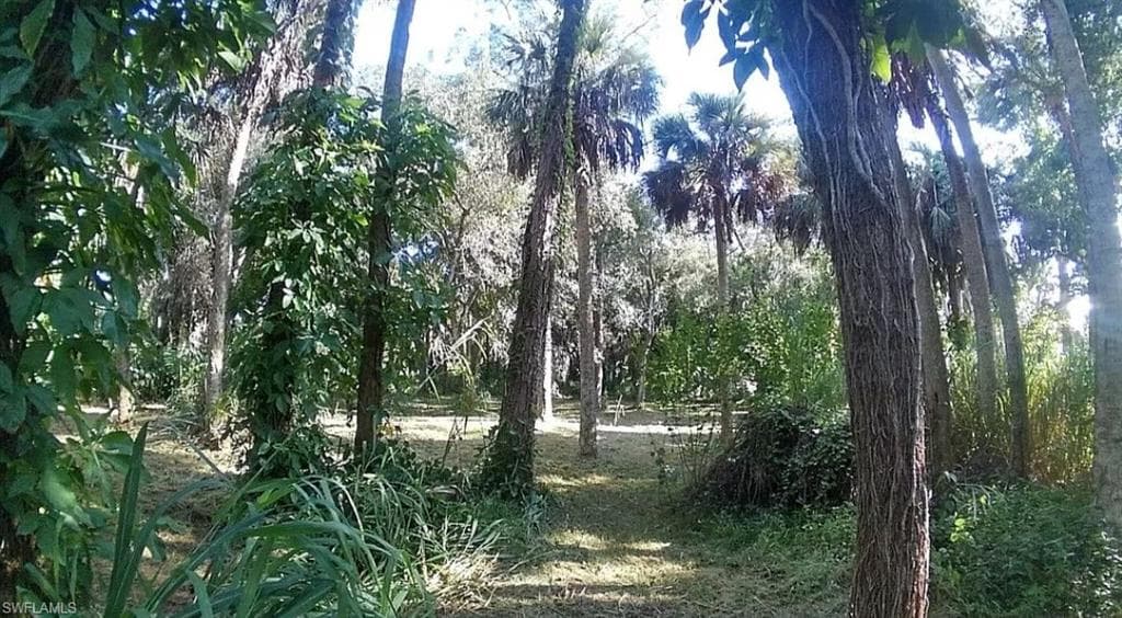 1807 Powell DR NORTH FORT MYERS, FL 33917