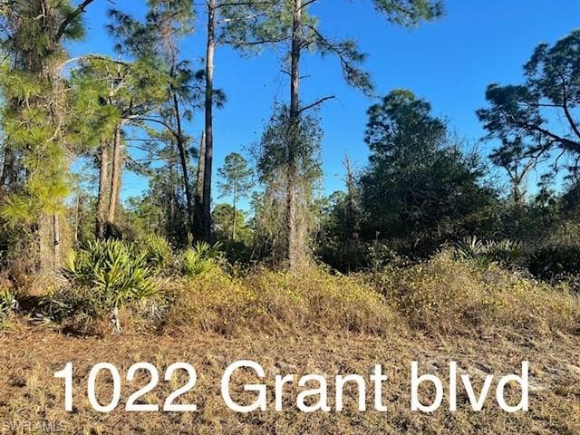 1022 Grant BLVD LEHIGH ACRES, FL 33974
