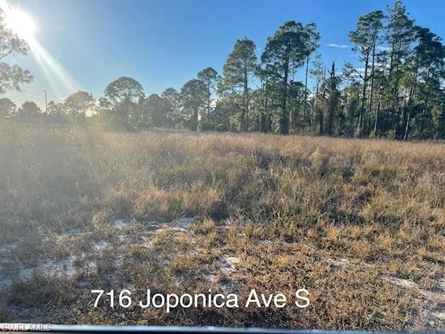 716 Joponica AVE S LEHIGH ACRES, FL 33974