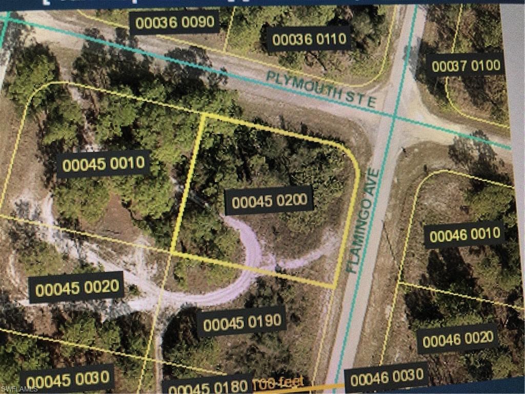 558 Flamingo AVE S LEHIGH ACRES, FL 33974